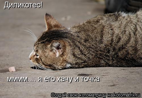 Котоматрица: Диликотес! мммм.... я его хачу и точка