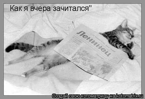 Котоматрица: Как я вчера зачитался"