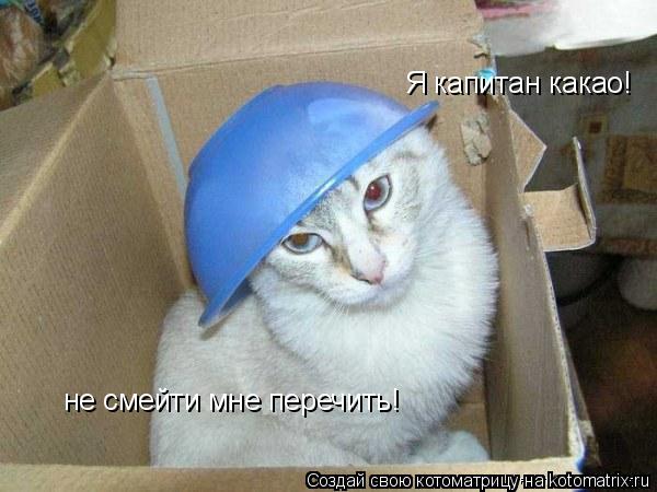 Котоматрица: Я капитан какао! не смейти мне перечить!