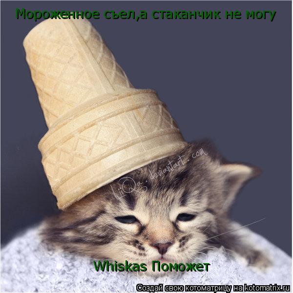 Котоматрица: Мороженное съел,а стаканчик не могу Whiskas Поможет