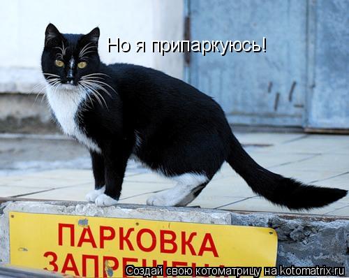 Котоматрица: Но я припаркуюсь!