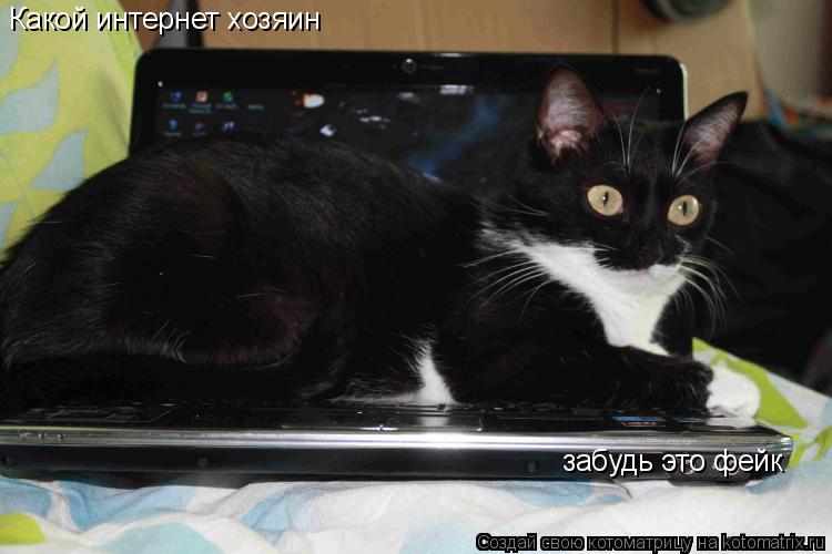 Котоматрица: Какой интернет хозяин забудь это фейк
