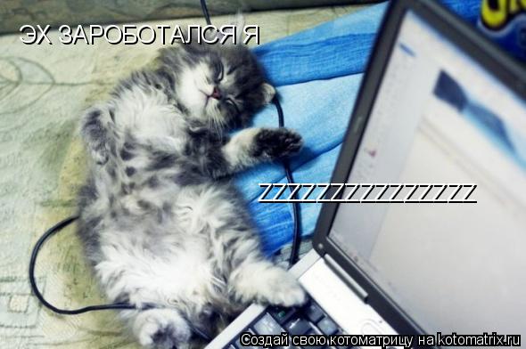 Котоматрица: ЭХ ЗАРОБОТАЛСЯ Я ZZZZZZZZZZZZZZZ