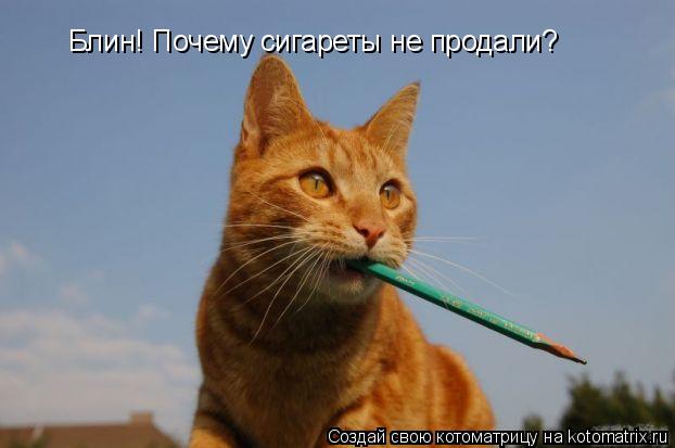 Котоматрица: Блин! Почему сигареты не продали?
