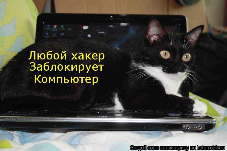 Любой хакер Заблокирует Компьютер... Котоматрица: Любой хакер Заблокирует Компьютер