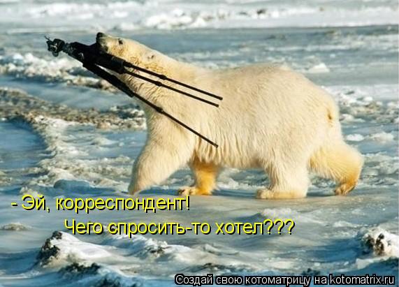 - Эй, корреспондент! Чего спросить-то хотел???... Котоматрица: - Эй, корреспондент! Чего спросить-то хотел???