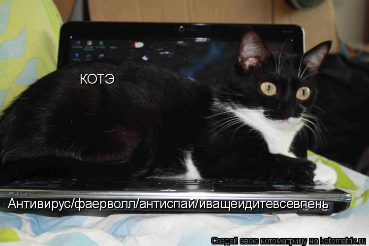 КОТЭ Антивирус/фаерволл/антиспай/иващеидитевсевпень... Котоматрица: КОТЭ Антивирус/фаерволл/антиспай/иващеидитевсевпень