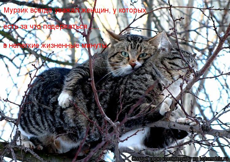 Мурзик всегда уважал женщин, у которых есть за что подержаться...... в нелегкие жизненные минуты.... Котоматрица: Мурзик всегда уважал женщин, у которых есть за что подержаться...... в нелегкие жизненные минуты.