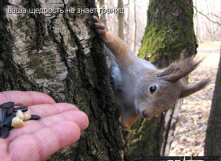 ваша щедрость не знает границ... Котоматрица: ваша щедрость не знает границ