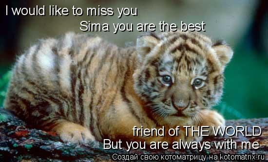 I would like to miss you But you are always with me Sima you are the best friend of THE WORLD... Котоматрица: I would like to miss you But you are always with me Sima you are the best friend of THE WORLD