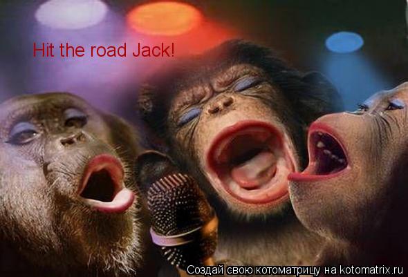 Котоматрица: Hit the road Jack!