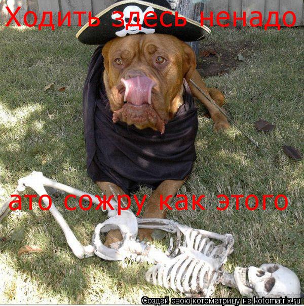 Котоматрица: Ходить здесь ненадо ато сожру как этого