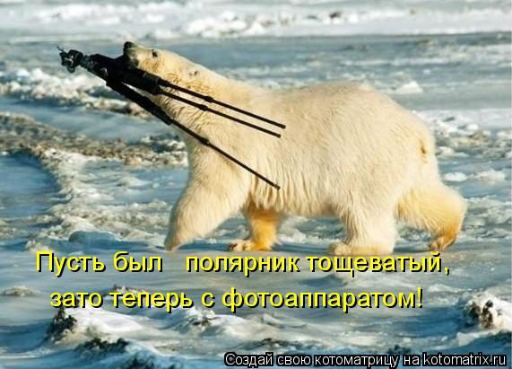 Котоматрица: Пусть был   полярник тощеватый, зато теперь с фотоаппаратом!