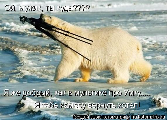 Котоматрица: Эй, мужик, ты куда???? Я же добрый, как в мультике про Умку..... Я тебе камеру вернуть хотел!