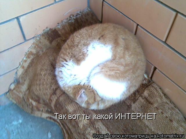 Котоматрица: Так вот ты какой ИНТЕРНЕТ