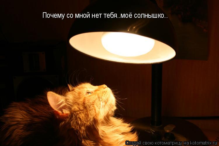 Котоматрица: Почему со мной нет тебя..моё солнышко.. Почему со мной нет тебя..моё солнышко..