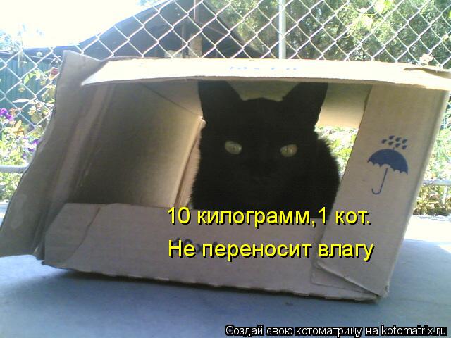 Котоматрица: 10 килограмм,1 кот.   Не переносит влагу