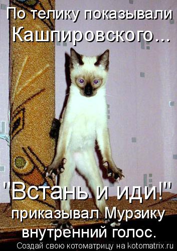 Котоматрица: По телику показывали Кашпировского... "Встань и иди!" приказывал Мурзику внутренний голос.
