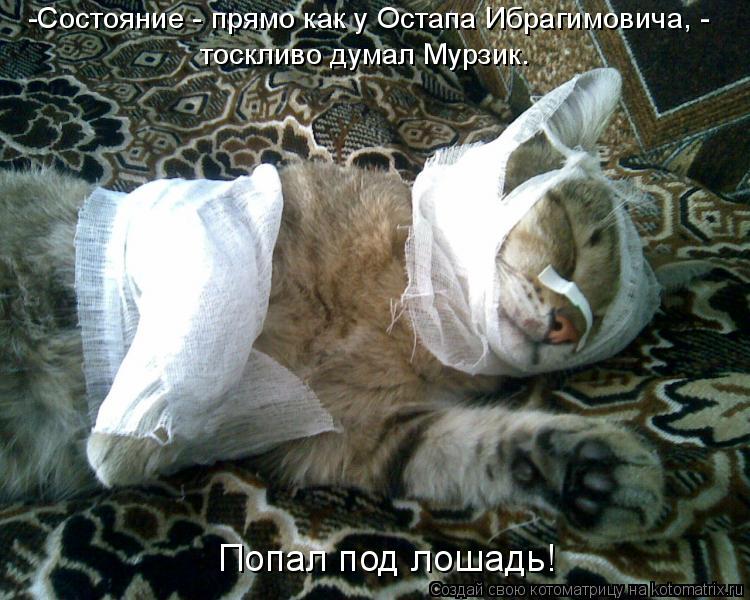 Котоматрица: Попал под лошадь! -Состояние - прямо как у Остапа Ибрагимовича, -  тоскливо думал Мурзик.