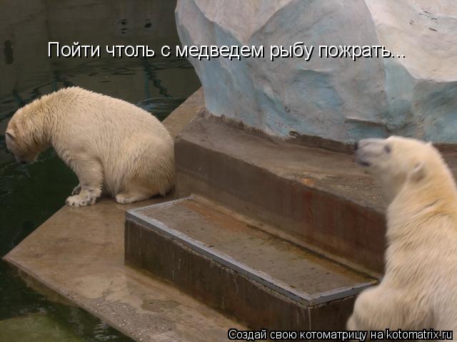 Котоматрица: Пойти чтоль с медведем рыбу пожрать...