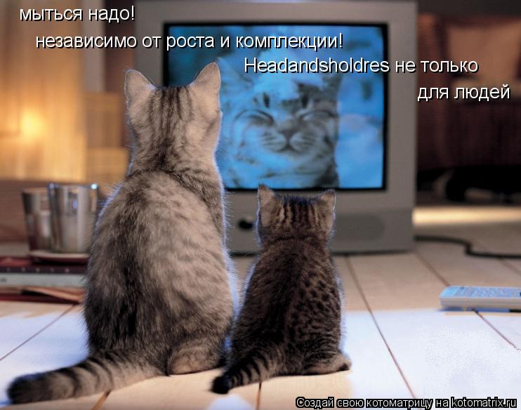 Котоматрица: мыться надо! независимо от роста и комплекции! Headandsholdres не только для людей