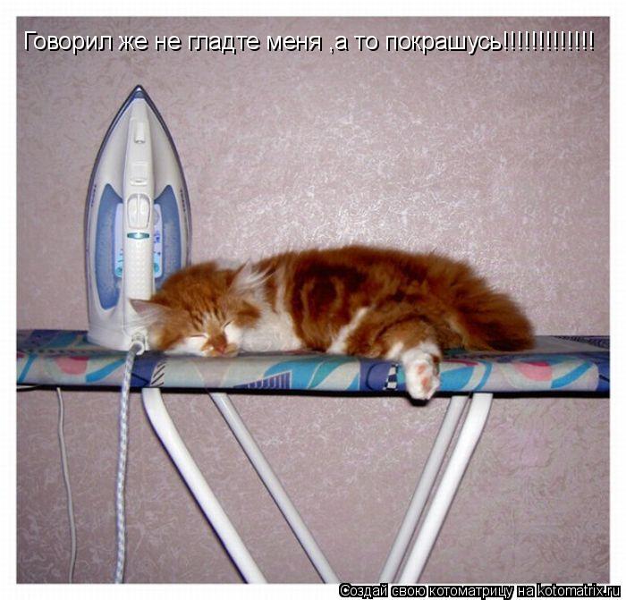Котоматрица: Говорил же не гладте меня ,а то покрашусь!!!!!!!!!!!!!