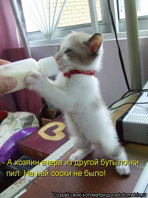 Котоматрица: - А хозяин вчера из другой бутылочки пил. На ней соски не было!