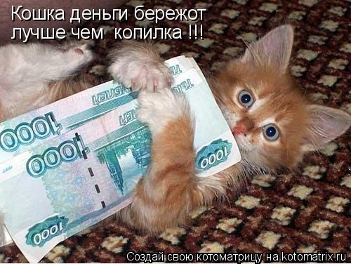 Кошка деньги бережот лучше чем копилка !!!... Котоматрица: Кошка деньги бережот лучше чем копилка !!!