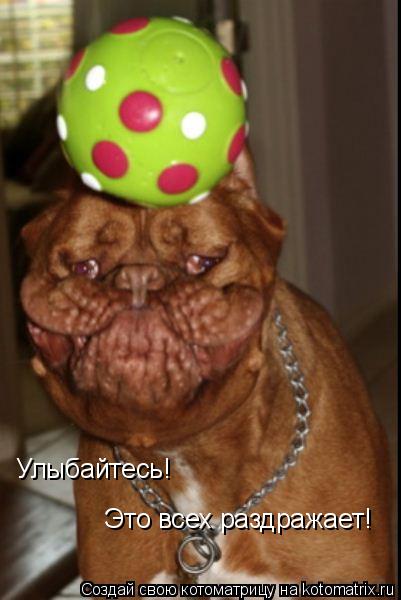 Улыбайтесь! Это всех раздражает!... Котоматрица: Улыбайтесь! Это всех раздражает!