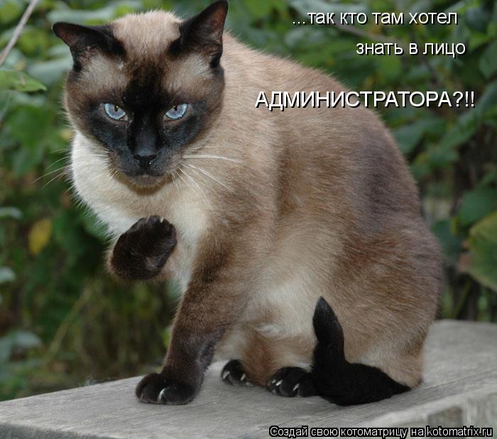 ...так кто там хотел знать в лицо АДМИНИСТРАТОРА?!!... Котоматрица: ...так кто там хотел знать в лицо АДМИНИСТРАТОРА?!!