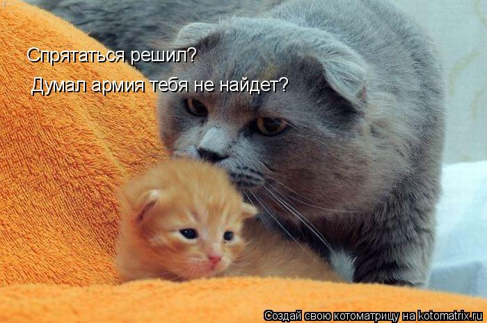 Спрятаться решил? Думал армия тебя не найдет?... Котоматрица: Спрятаться решил? Думал армия тебя не найдет?