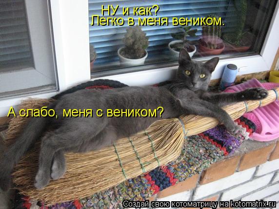 НУ и как? Легко в меня веником. А слабо, меня с веником?... Котоматрица: НУ и как? Легко в меня веником. А слабо, меня с веником?