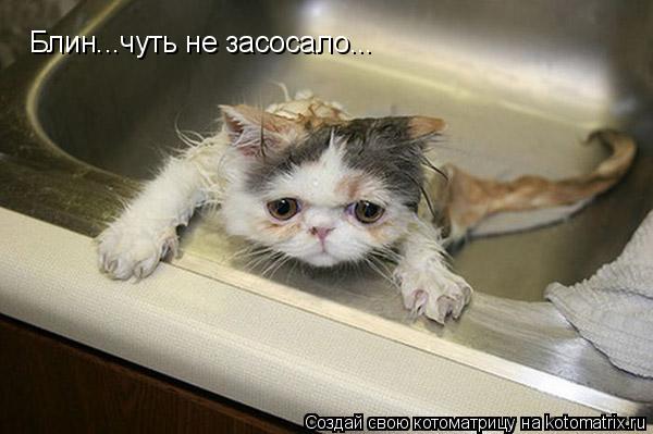Блин...чуть не засосало...... Котоматрица: Блин...чуть не засосало...