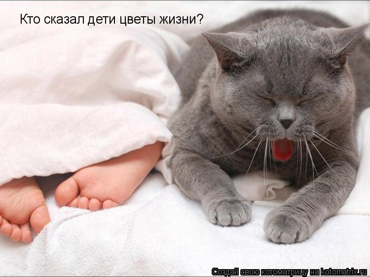 Кто сказал дети цветы жизни?... Котоматрица: Кто сказал дети цветы жизни?