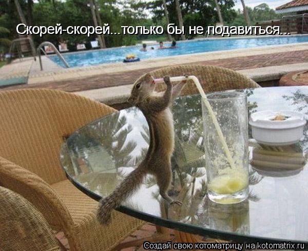 Котоматрица: Скорей-скорей...только бы не подавиться... Скорей-скорей...только бы не подавиться...