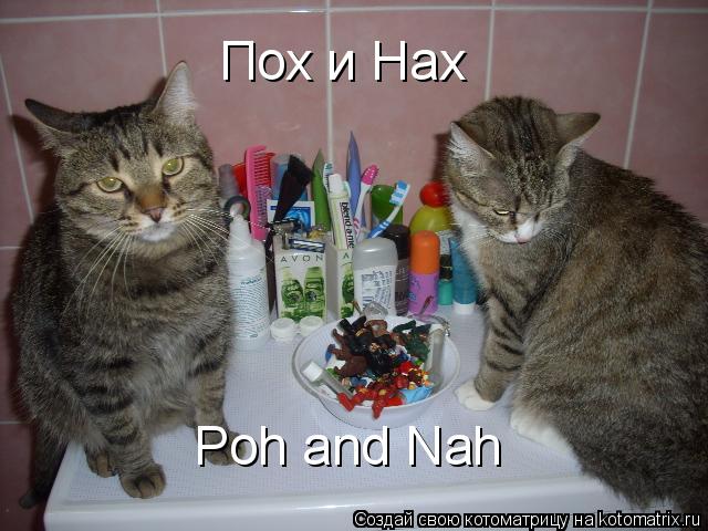 Котоматрица: Пох и Нах Poh and Nah