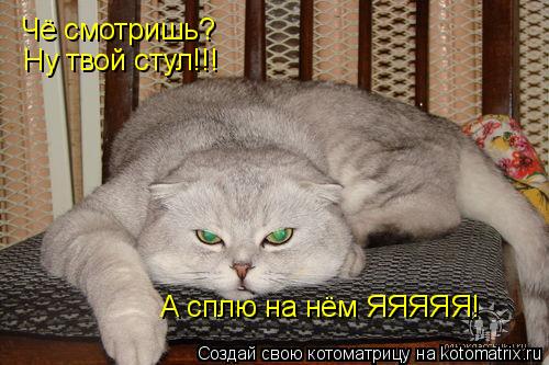 Котоматрица: Чё смотришь? Ну твой стул!!! А сплю на нём ЯЯЯЯЯ!