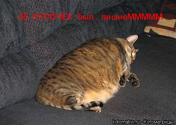 Котоматрица: 45  КУСОЧЕК  был   лишнеМММММ