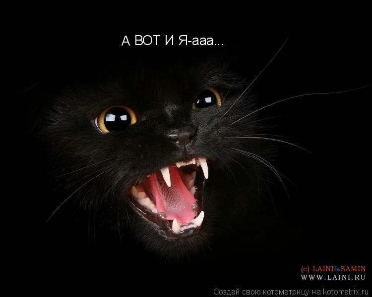 Котоматрица: ВОТ И Я-ааа...  А