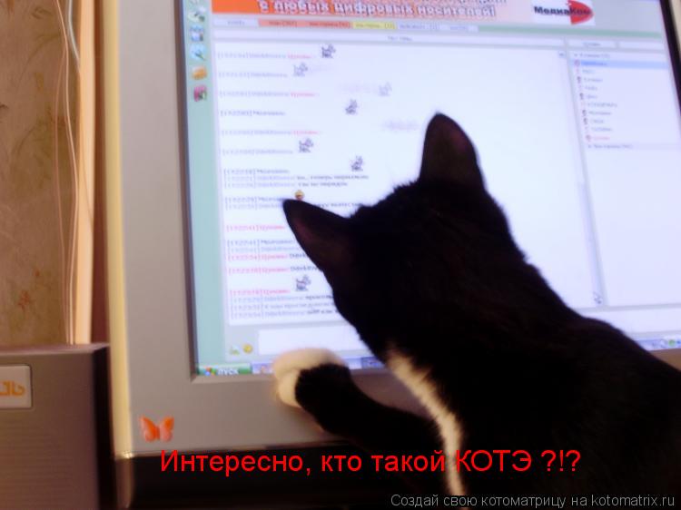 Котоматрица: Интересно, кто такой КОТЭ ?!?