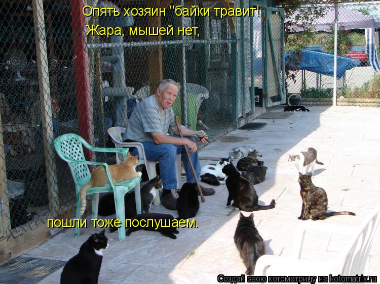 Опять хозяин "байки травит! Жара, мышей нет, пошли тоже послушаем.... Котоматрица: Опять хозяин "байки травит! Жара, мышей нет, пошли тоже послушаем.