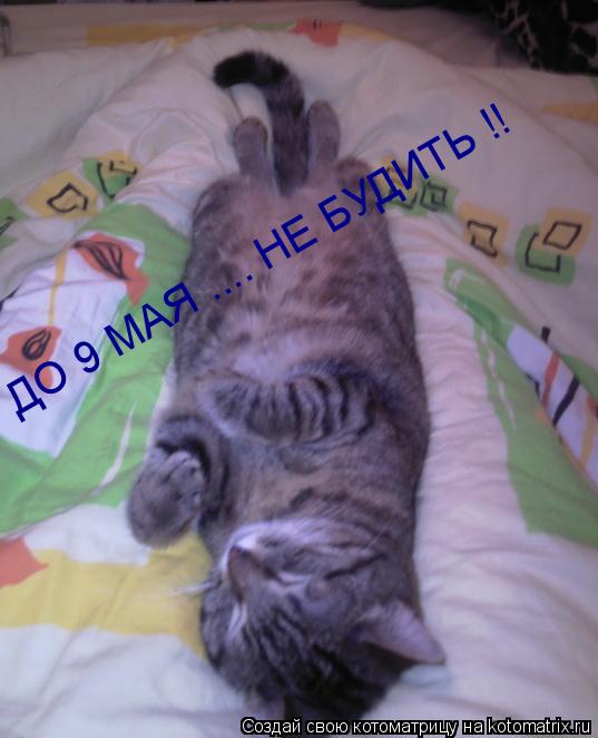 ДО 9 МАЯ .... НЕ БУДИТЬ !!... Котоматрица: ДО 9 МАЯ .... НЕ БУДИТЬ !!