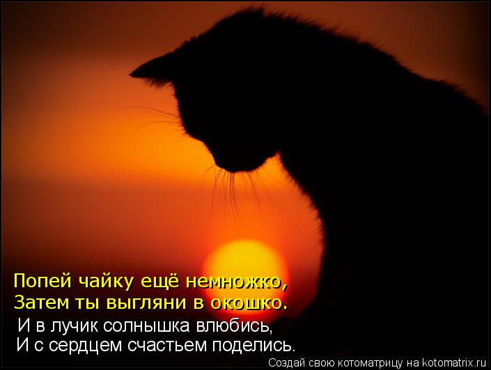 И в лучик солнышка влюбись, И с сердцем счастьем поделись. Затем ты выгляни в окошко. Попей чайку ещё... Котоматрица: И в лучик солнышка влюбись, И с сердцем счастьем поделись. Затем ты выгляни в окошко. Попей чайку ещё немножко,