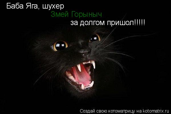 Баба Яга, шухер Змей Горыныч за долгом пришол!!!!!... Котоматрица: Баба Яга, шухер Змей Горыныч за долгом пришол!!!!!