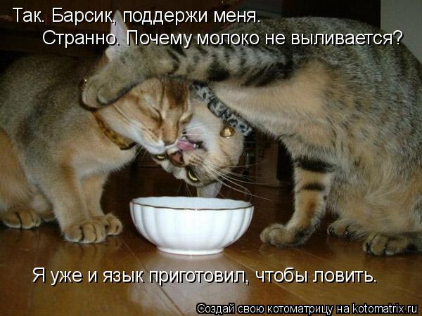Так. Барсик, поддержи меня. Странно. Почему молоко не выливается? Я уже и язык приготовил, чтобы лови... Котоматрица: Так. Барсик, поддержи меня. Странно. Почему молоко не выливается? Я уже и язык приготовил, чтобы ловить.
