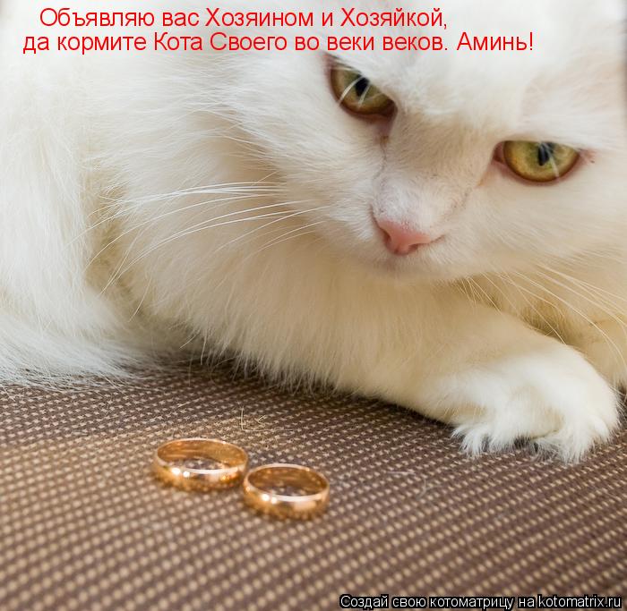 Объявляю вас Хозяином и Хозяйкой, да кормите Кота Своего во веки веков. Аминь!... Котоматрица: Объявляю вас Хозяином и Хозяйкой, да кормите Кота Своего во веки веков. Аминь!