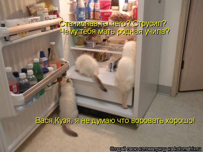 Вася,Кузя, я не думаю что воровать хорошо! Станислав,ты чего? Струсил? Чему тебя мать родная учила?... Котоматрица: Вася,Кузя, я не думаю что воровать хорошо! Станислав,ты чего? Струсил? Чему тебя мать родная учила?