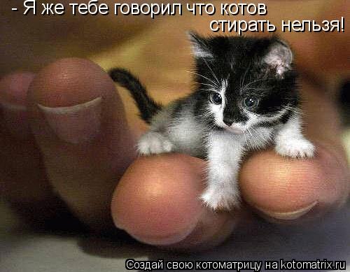 Котоматрица: - Я же тебе говорил что котов стирать нельзя!