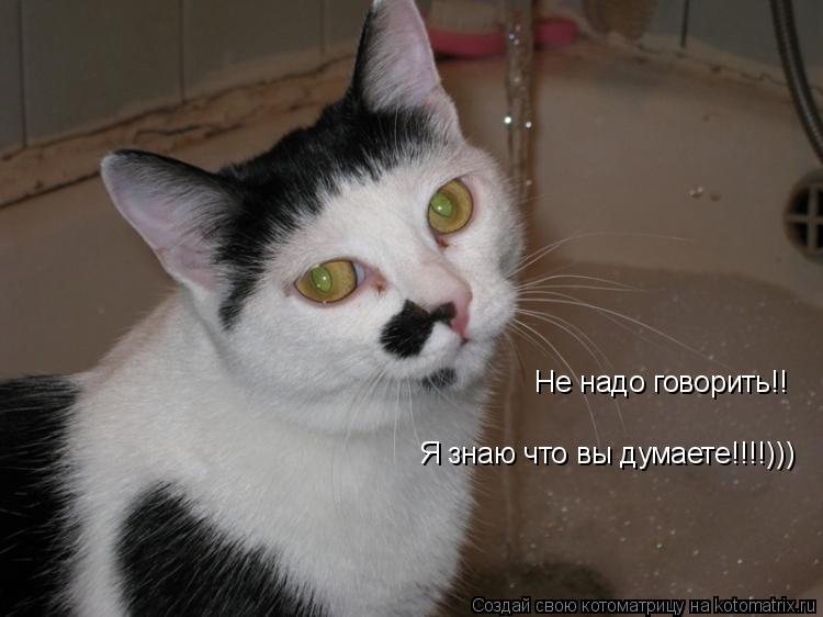 Не надо говорить!! Я знаю что вы думаете!!!!)))... Котоматрица: Не надо говорить!! Я знаю что вы думаете!!!!)))