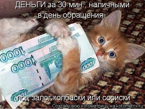 ДЕНЬГИ за 30 мин., наличными в день обращения под залог колбаски или сосиски... Котоматрица: ДЕНЬГИ за 30 мин., наличными в день обращения под залог колбаски или сосиски
